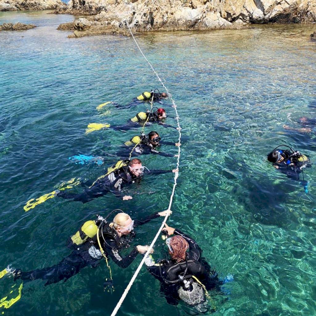 Ayvalık 3 sea dalış kursu