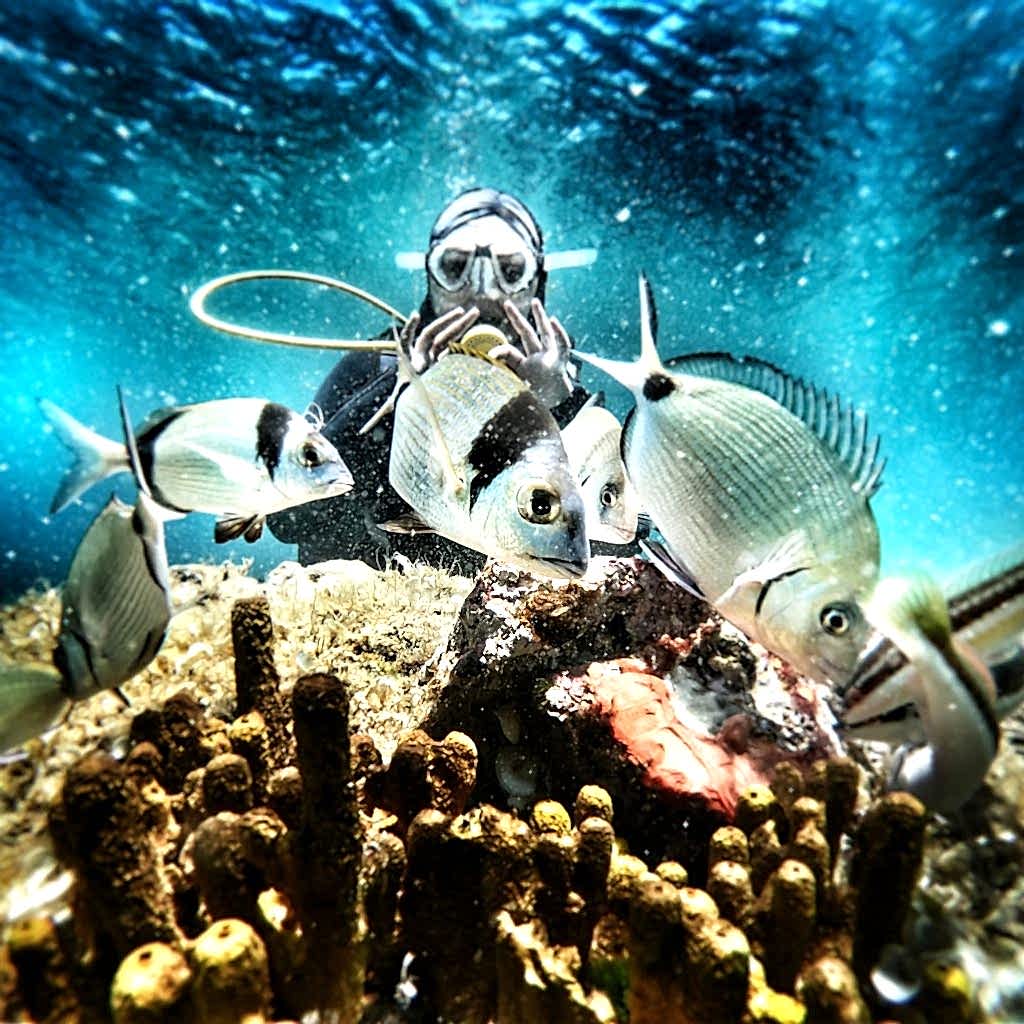 Ayvalık 3 sea deneme dalışı